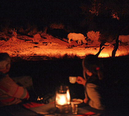 Etali Safari Lodge is situated in the heart of Madikwe Game Reserve, home to the Big 5 and completely malaria-free.
