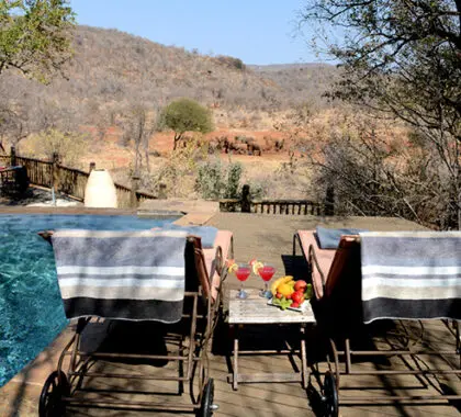 Etali overlooks a well-frequented waterhole; you're likely to spot animals - including big game like elephants - from the deck!
