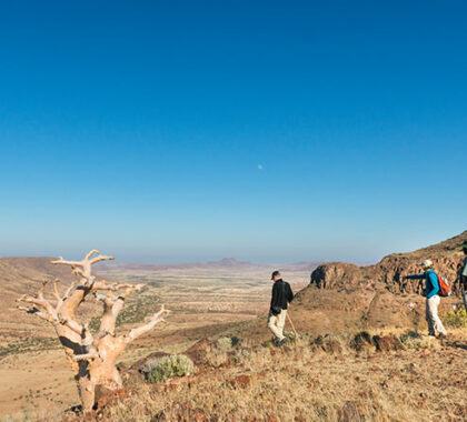 Walks with Etendeka's famously knowledgeable guides reveal the secrets of Damaraland.