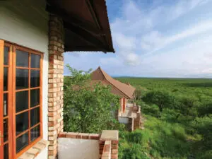 The wilderness region during the summertime is lush and green from the rains.