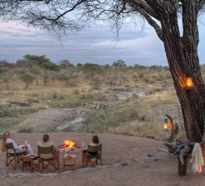 Evenings at Mbono Camp