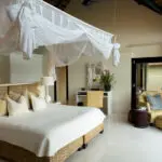 Uitzonderlijke accommodatie is slechts een deel van de Lion Sands ervaring.