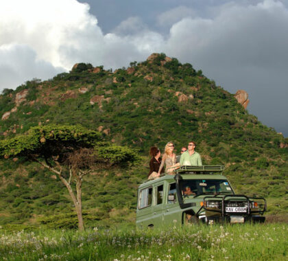 Your group will have the use of a safari vehicle, led by your own private guide.