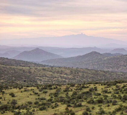 At Ol Lentille private reserve, you are in the foothills of Mount Kenya, and views are absolutely astounding.