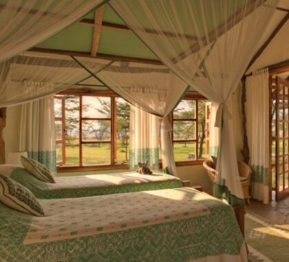 Fly to the Masai Mara, for a stay in the exclusive-use Topi Mara Bush House.