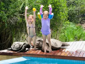 La piscina de Fitzpatrick es un lugar ideal para los niños en las calurosas tardes de Kruger.