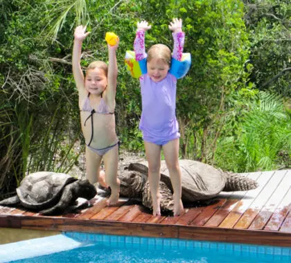 Fitzpatrick's pool is a welcome sight for children on a hot Kruger afternoon.