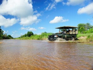 Disfrutará de un avistamiento de animales sin aglomeraciones en una concesión exclusiva del Kruger.