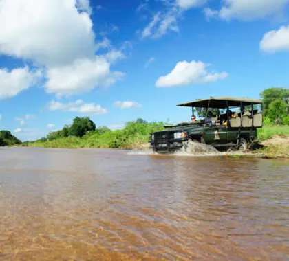 Disfrutará de un avistamiento de animales sin aglomeraciones en una concesión exclusiva del Kruger.