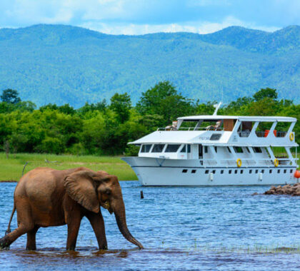 Your journey then continues on Lake Kariba where you will cruise and explore aboard Matusadona Luxury Lake Safari Cruiser.