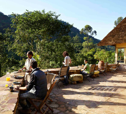 Volcanoes Bwindi Forest Lodge is ideally situated for gorilla trekking in the unforgettable Bwindi Impenetrable Forest.