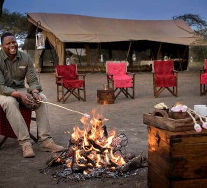 Tardes junto al fuego en Serengeti Under Canvas.