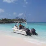 Explore el canal de Pemba en una excursión de pesca y tenga su captura del día perfectamente preparada para la cena.