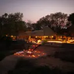Evenings lit up at Fitzpatrick's at Jock.