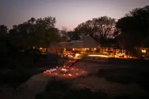 Evenings lit up at Fitzpatrick's at Jock.