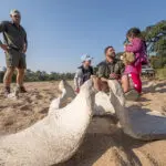 Activities for the kids to enjoy.