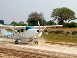 El avistamiento de animales en Botsuana suele comenzar en cuanto aterriza su vuelo chárter.