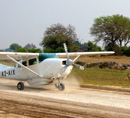 Fly-In Safari