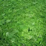 Volar entre campamentos en África Oriental ahorra largos y difíciles viajes por tierra.
