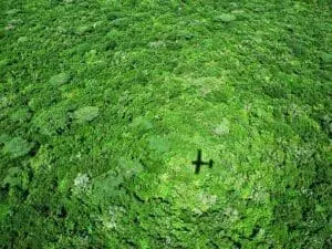 Volar entre campamentos en África Oriental ahorra largos y difíciles viajes por tierra.