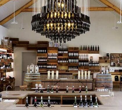 Los mejores vinos están esperando a ser descubiertos en todos los viñedos de Cape Winelands. ¡Pase por una sala de catas y empiece a explorar!