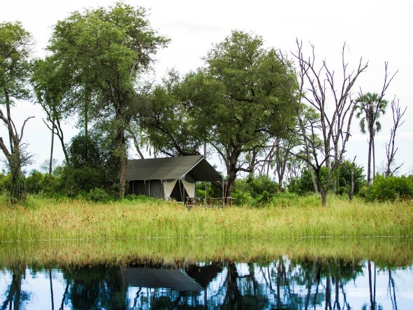 This tented camp lies on the banks of the Gomoti River, known for its abundant wildlife.