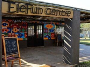 The EleFun Centre is filled with learning opportunities for young visitors - with a strong focus on age-appropriate 'edutainment'.