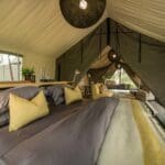 Suitable for most types of travellers, Gomoti is situated in a private concession of the Okavango Delta.