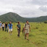 Dé un paseo por el lado salvaje. 