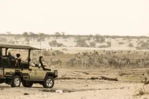Recorridos en vehículo por la naturaleza virgen del famoso Parque Nacional de Makgadikgadi. 