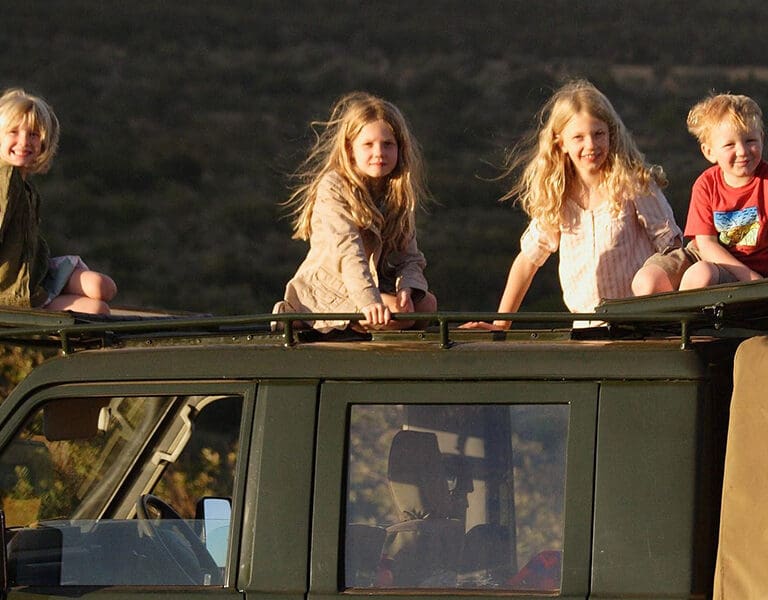 A family-friendly game drive.