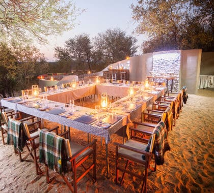Indulge in mouthwatering cuisine.