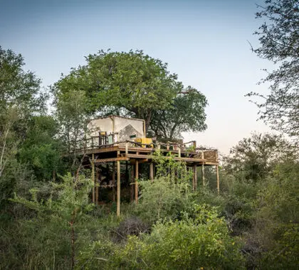 Spend an unforgettable night in the wild.