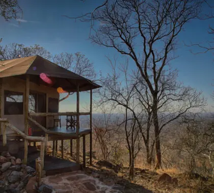 Cada una de las suites de las tiendas capta la esencia de un safari africano clásico, pero con un montón de pequeños lujos y comodidades incluidas.