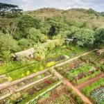 Huertos agrícolas para comer de la granja a la mesa en Gibb's Farm