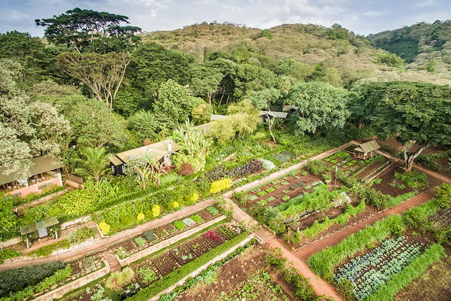 Huertos agrícolas para comer de la granja a la mesa en Gibb's Farm
