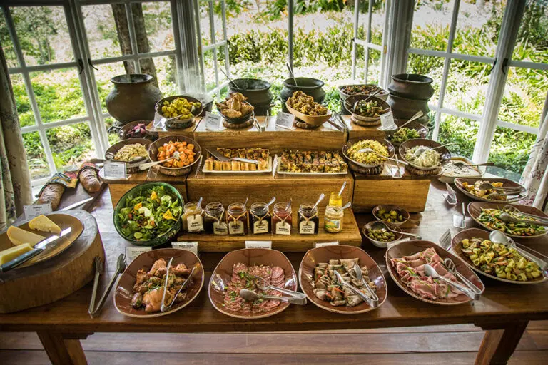 A delicious buffet spread 