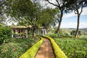 Camino del jardín al comedor en Gibb's Farm