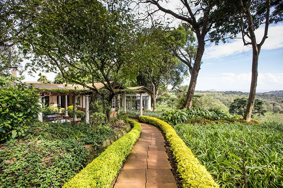 Garden pathway to the dining area at Gibb's Farm