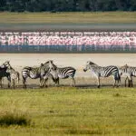Vistas del lago Manyara.