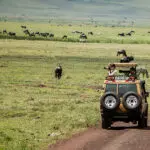Excursión de un día al cráter del Ngorogoro.