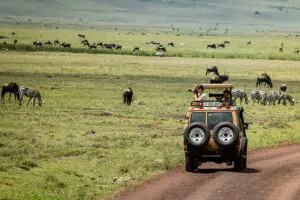 Excursión de un día al cráter del Ngorogoro.