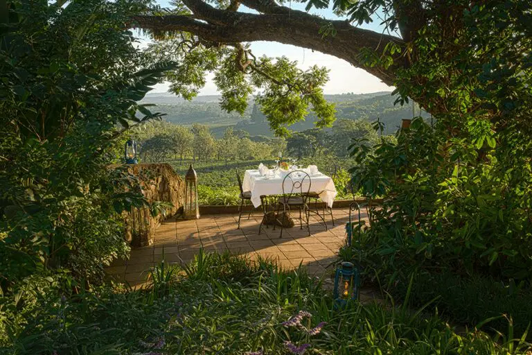 Al fresco dining.