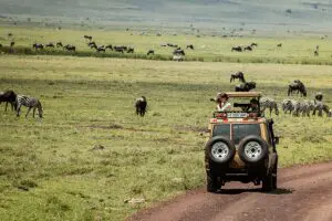 Game drives through the Ngorongoro Conservation Area.