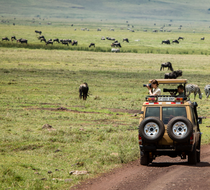 Game drives through the Ngorongoro Conservation Area.