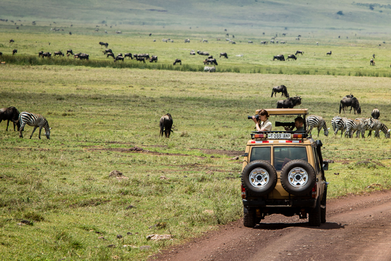 Game drives through the Ngorongoro Conservation Area.