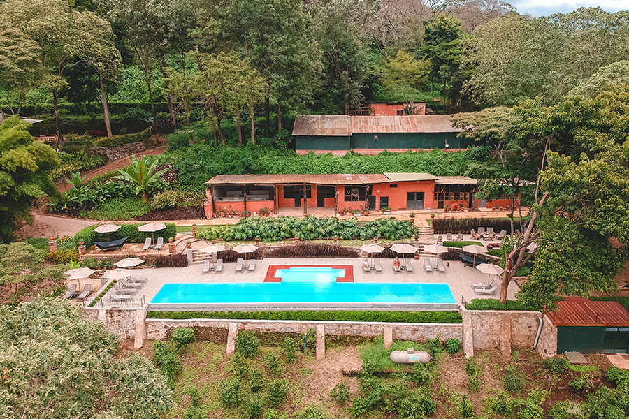 Gibbs Farm are surrounded by lush gardens, which are home to many of Tanzania's bird species.