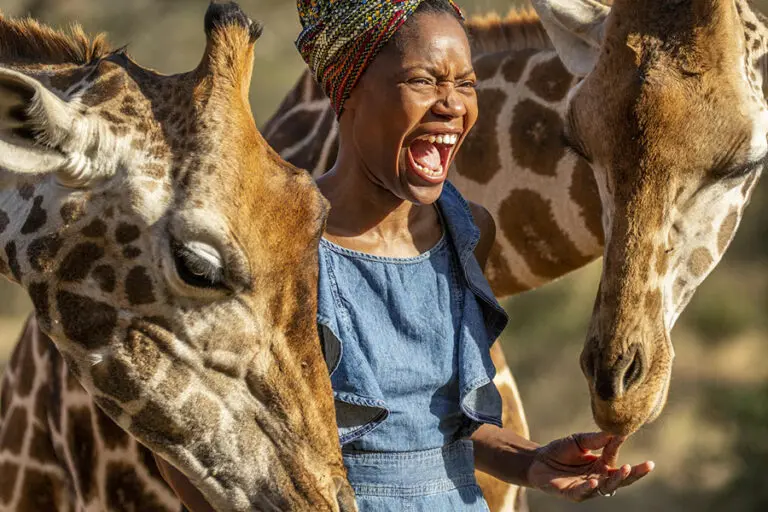 Interact with the gentle giants.