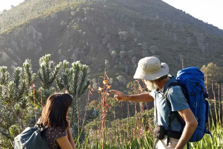 Enjoy Cape Town's incredible hiking trails.