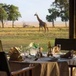 Game viewing from camp.